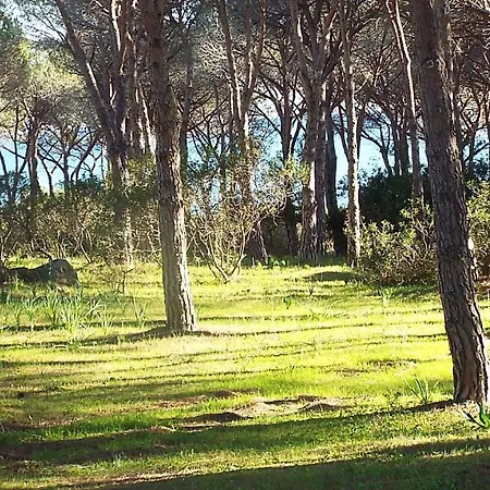 Via Dei Lidi Affitti Tatil Evi Budoni