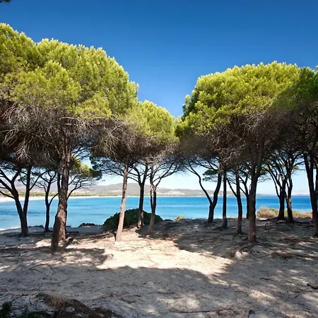 Via Dei Lidi Affitti Tatil Evi